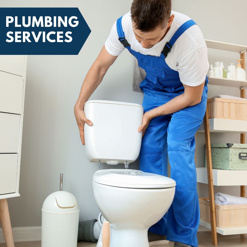 Plumbing Company in Brant, MI